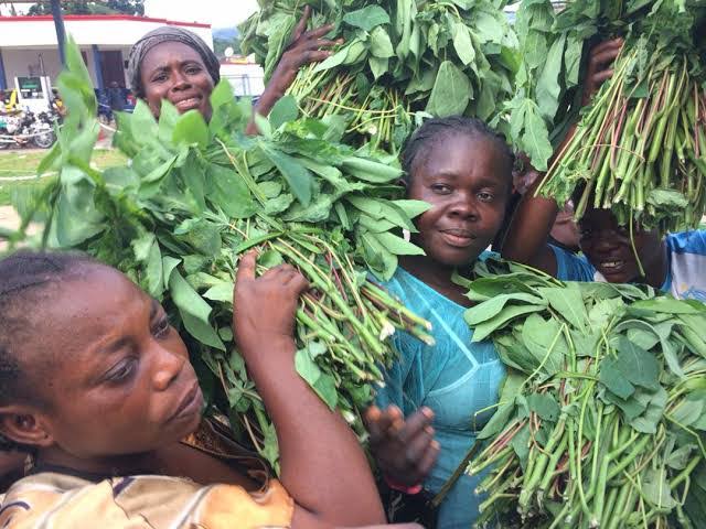 Mbuji-Mayi en souffrance : le prix des feuilles de manioc en hausse, la population impactée